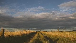 Building Fast with React